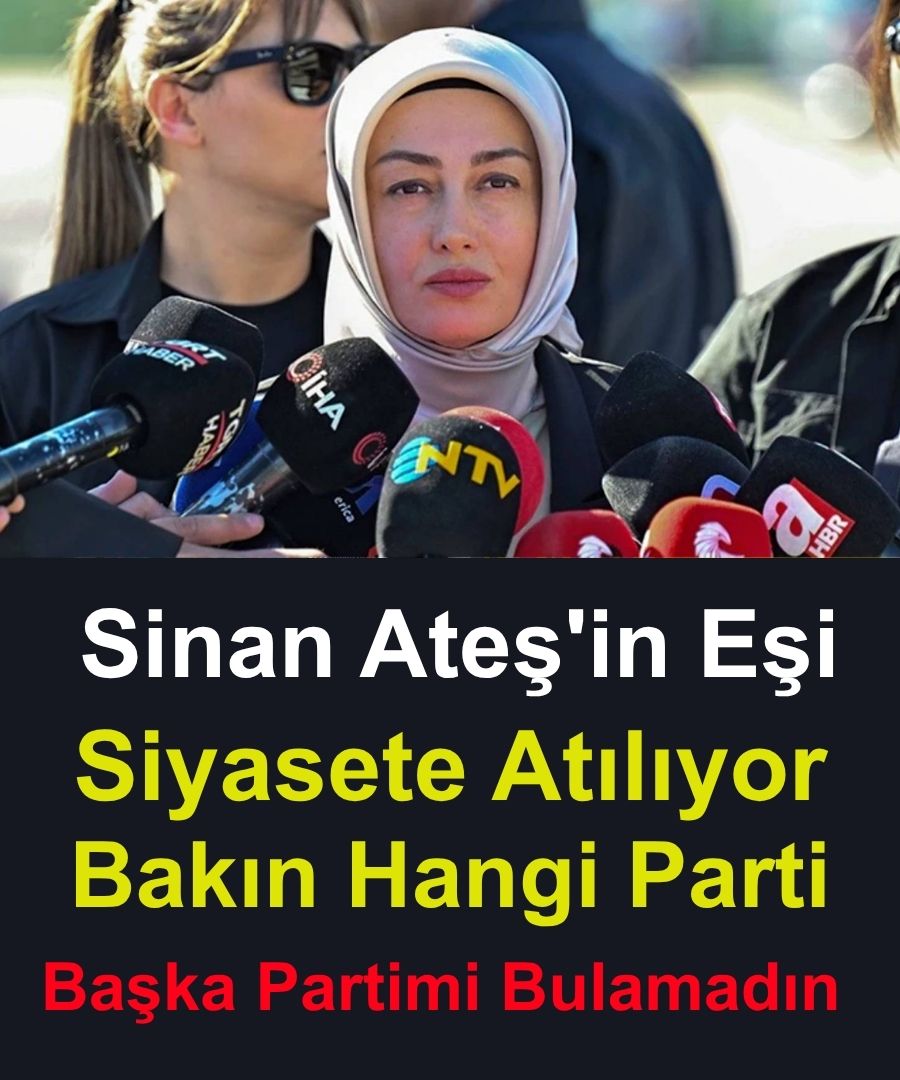 Ayşe Ateş, Siyaset Sahnesine Giriyor