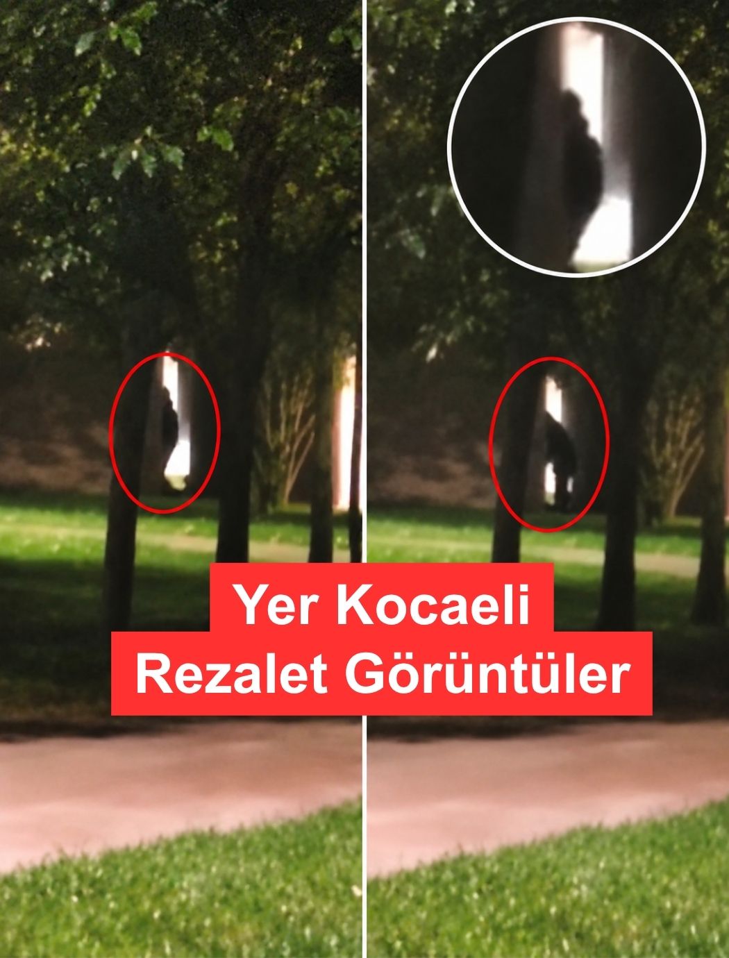Kocaeli'de Rezalet Görüntüler