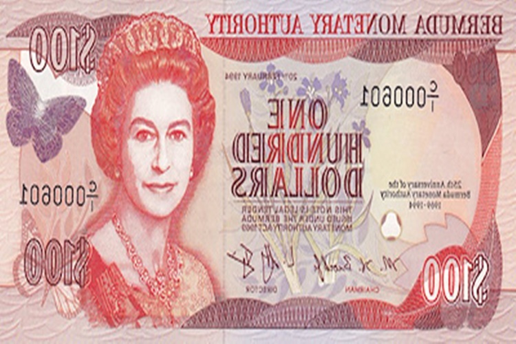 1 Bermuda Doları Kaç TL’dir?