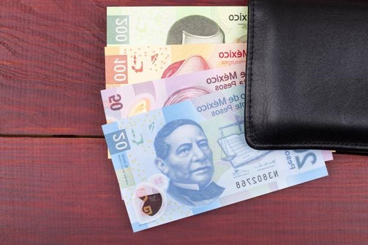 1 Dolar Kaç Meksika Pezosu?