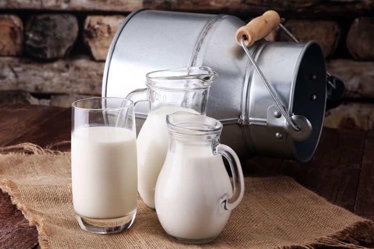 1 Litre Süte Ne Kadar Maya Konur?