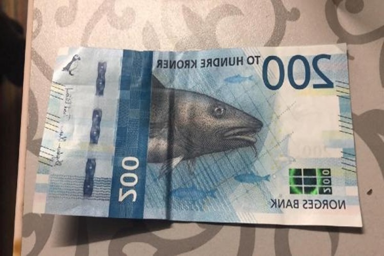 1 Norveç Kronu Kaç TL?
