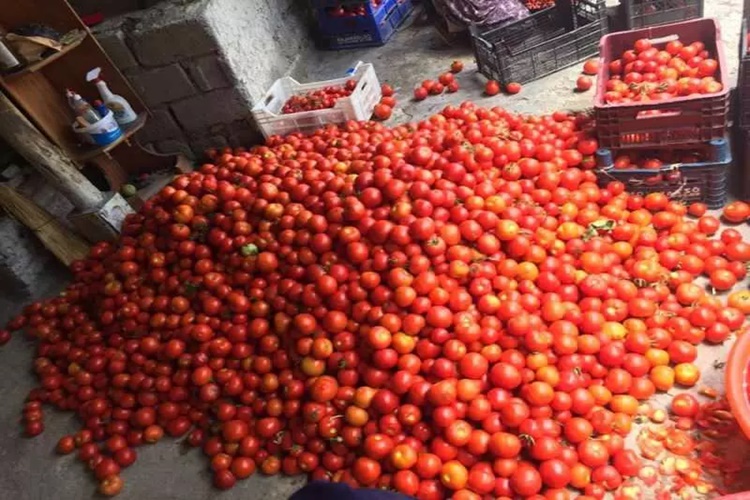 100 Kilo Domates Salçaya Ne Kadar Tuz Atılır?