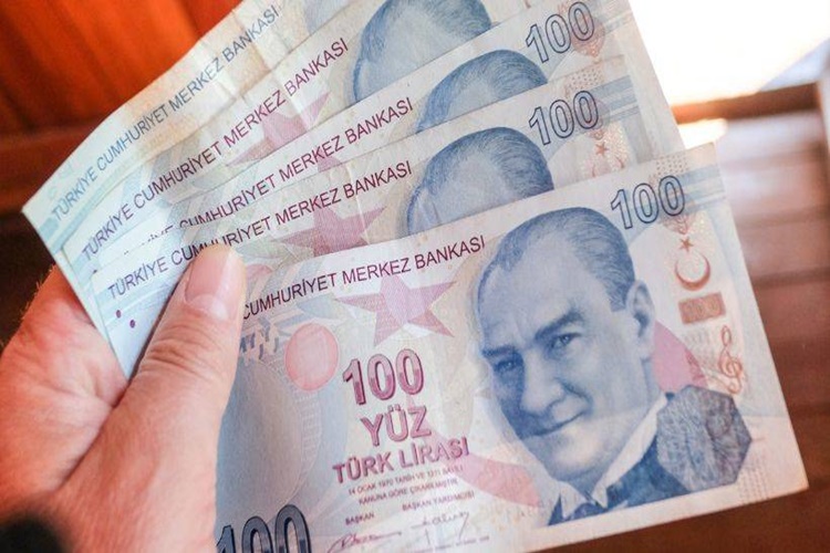 100 Lira Neyden Yapılır?