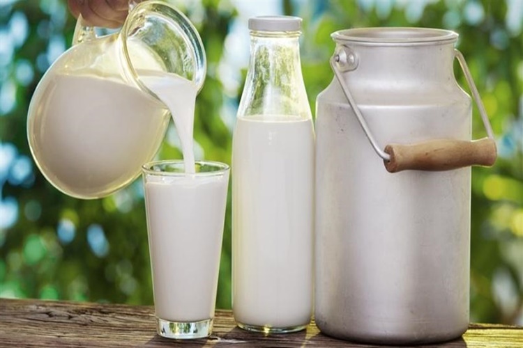 2 Litre Süte Ne Kadar Maya Konur?