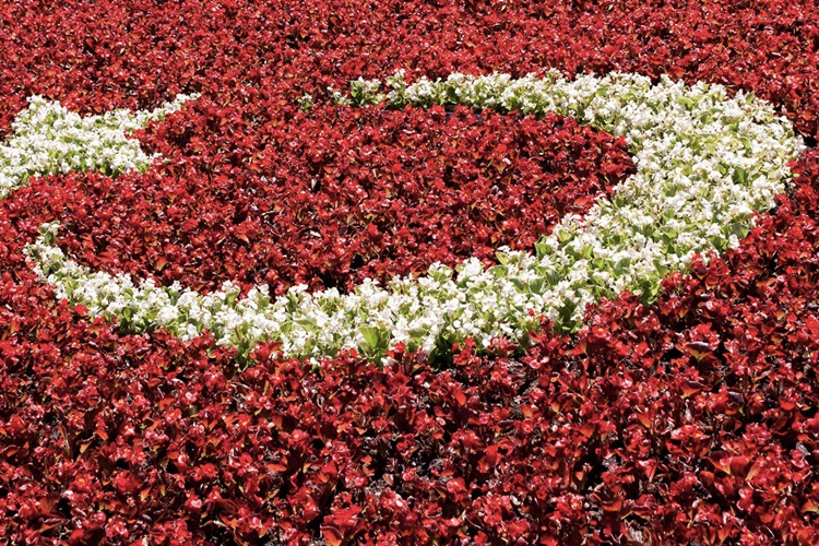 29 Ekim Cumhuriyet Bayramı Okullarda Kutlanacak Mı?
