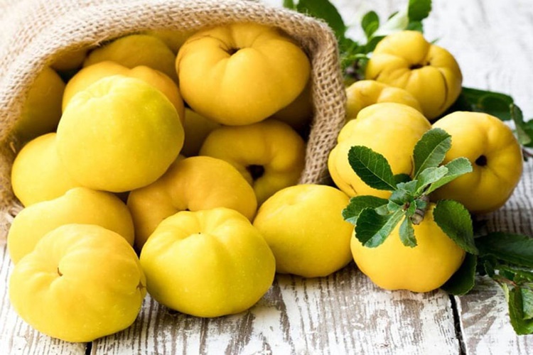 3 Kilo Ayvaya Ne Kadar Şeker Konur?