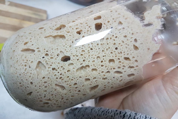 500 Gram Una Ne Kadar Ekşi Maya Konur?