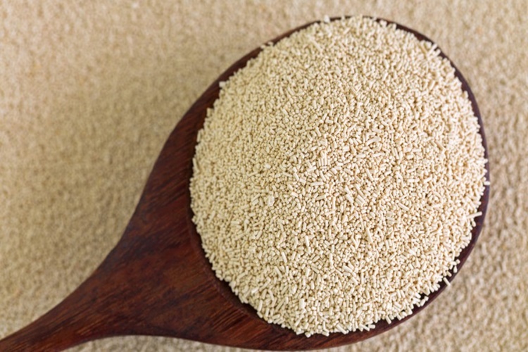500 Gram Una Ne Kadar Kuru Maya Konur?