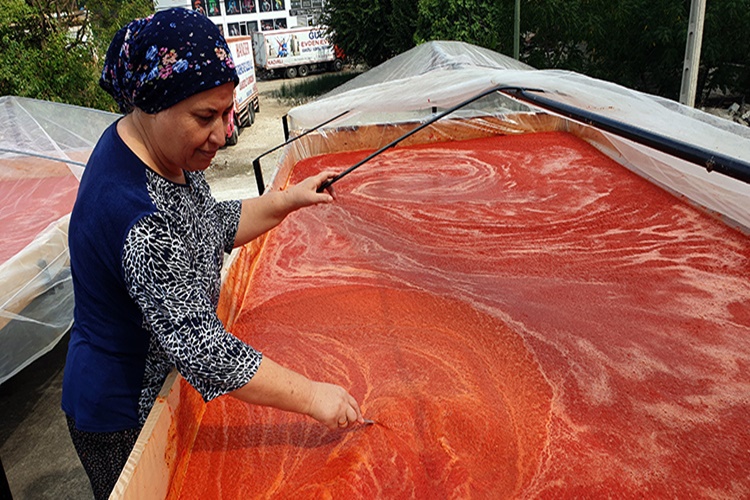 Adana Salçası Nasıl Yapılır?