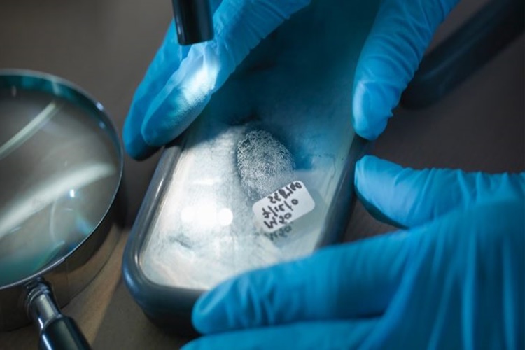 Adli Tıp Hakkında Merak Edilen Bilgiler