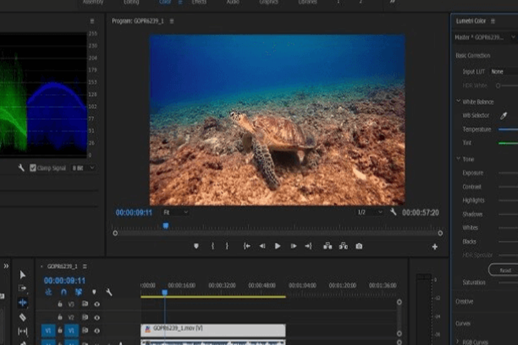 Adobe Premiere İndirimleri Var Mı? 