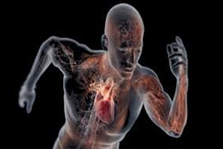 Adrenalin Hormonu Düşüklüğü Belirtileri Nelerdir?