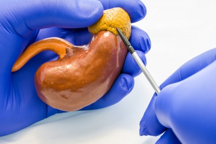 Adrenalin Hormonu Metabolizmayı Hızlandırır Mı?