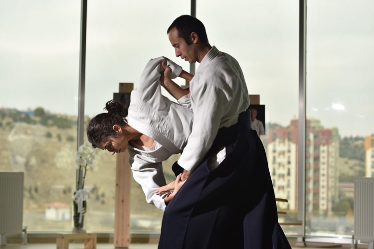 Aikido Hangi Federasyona Bağlıdır?