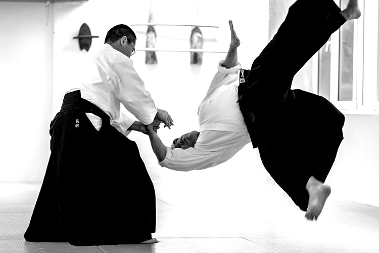 Aikido Hocalarına Ne Denir?
