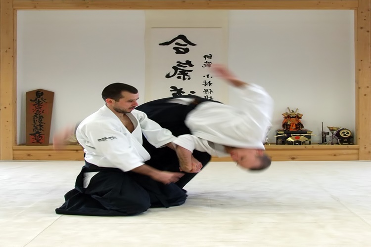 Aikido Nasıl Bir Spor?