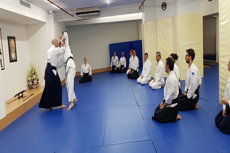 Aikido Ne İşe Yarar?
