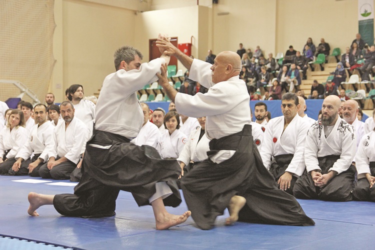 Aikido Ne Öğretir?