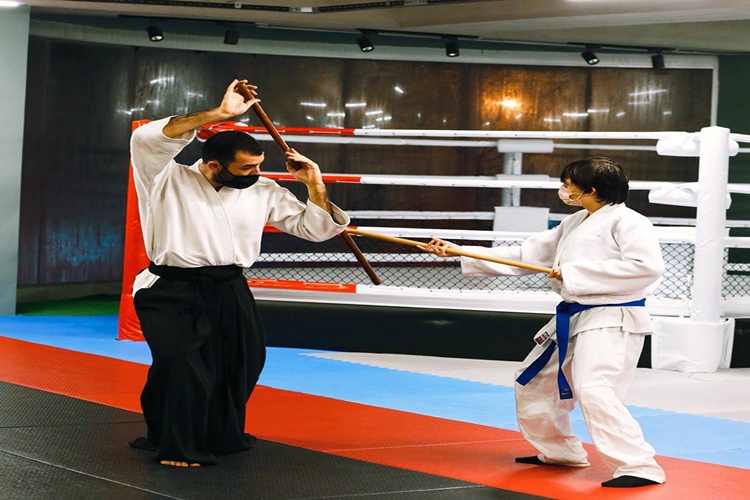 Aikido Nerede Gelişmiştir?