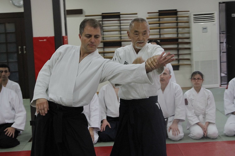 Aikidoda Kaç Teknik Var?