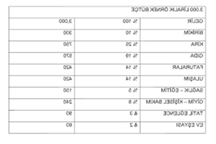Aile Bütçesi Nedir?