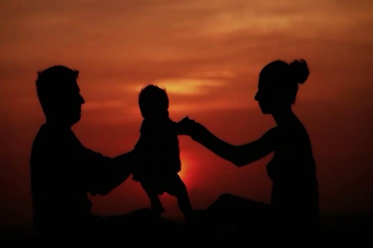 Aile Dizimi Eğitimini Kimler Alabilir?