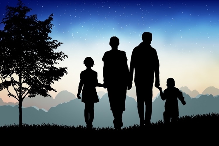 Aile Dizimi Hakkında Kitaplar Hangileridir?