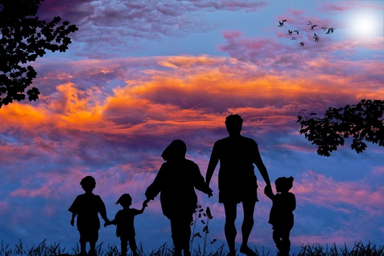 Aile Dizimi Nedir?