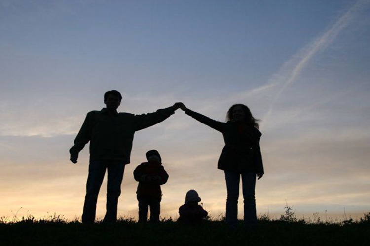 Aile Dizimini Kimler Yapabilir?