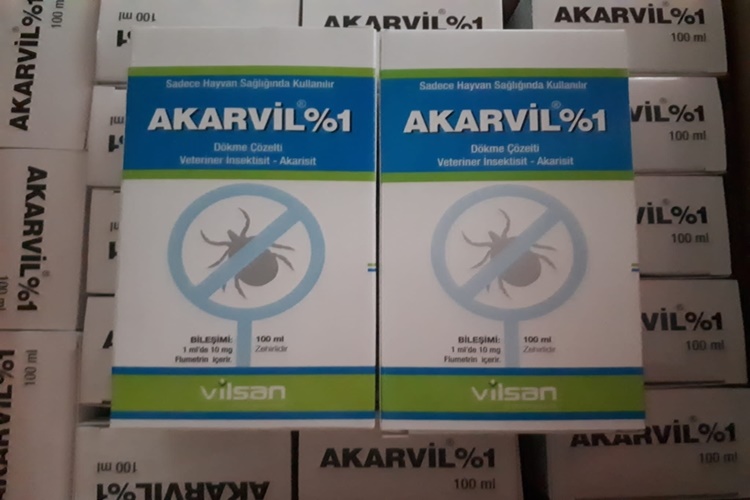 Akarvil İnsana Zarar Verir Mi?