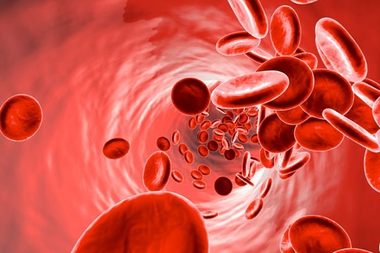 Akdeniz Anemisi Ve Cinsellik Hakkında Merak Edilen Bilgiler