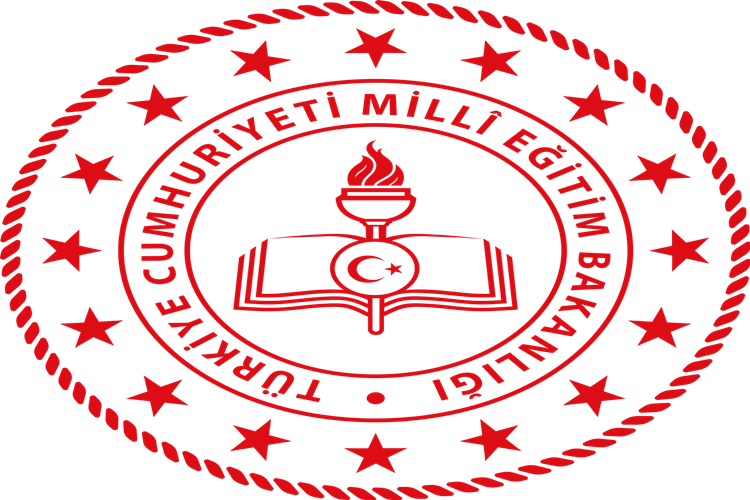 Aktivasyon Kodu Nasıl Girilir?