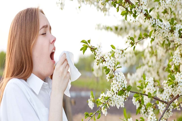 Alerjik Rinit Hangi Vitamin Eksikliğinden Olur?