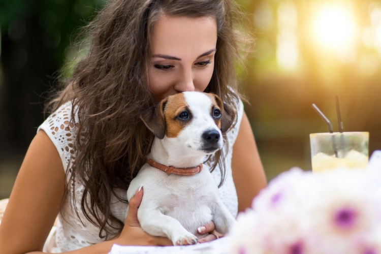 Alışveriş Merkezlerine Köpek İle Girilebilir Mi?