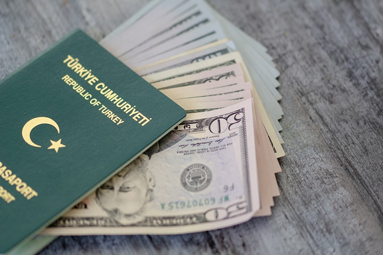 Almanya'da Türk Pasaportu Yenileme Nasıl Yapılır?
