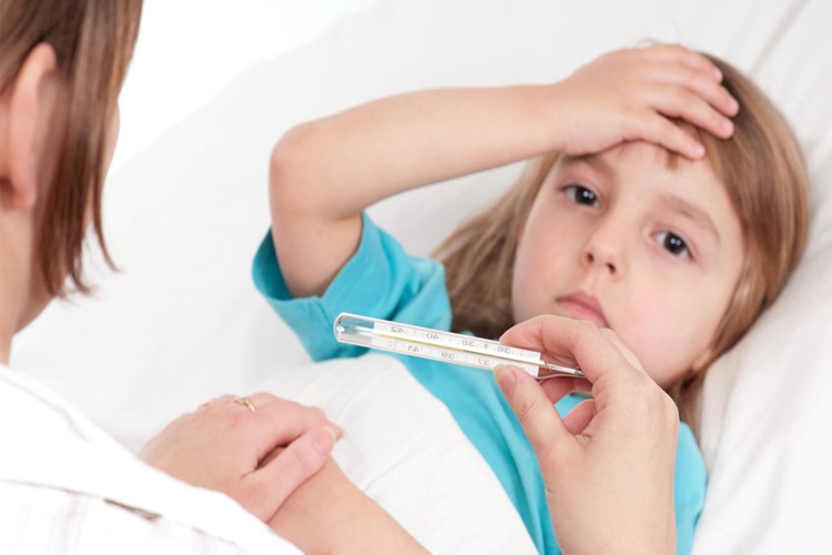 Aloe Vera Ateş Düşürür Mü?