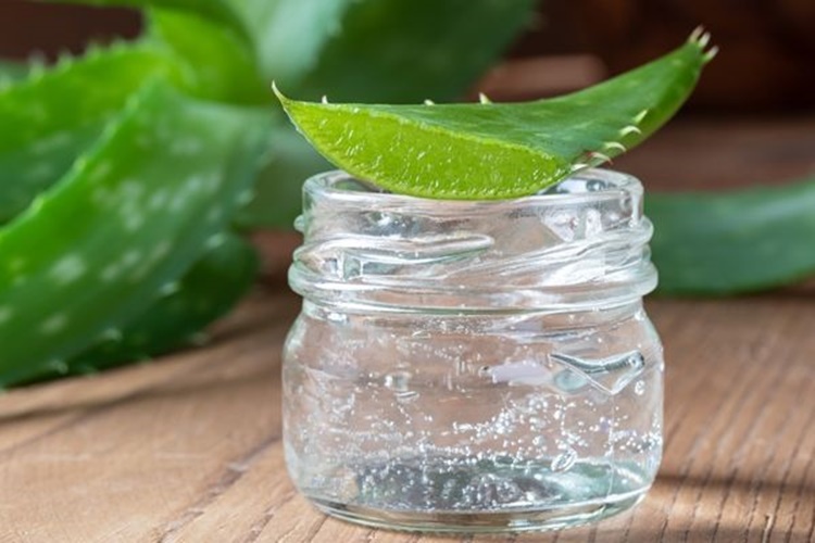 Aloe Vera Haftada Kaç Kez Kullanılır?