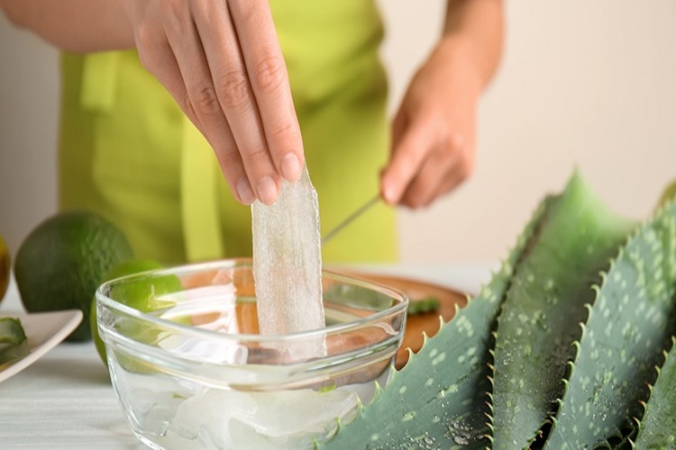 Aloe Vera Jeli Çatlaklara İyi Gelir Mi?