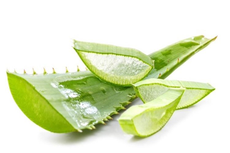 aloe vera leaf extract Aloe Vera Extract Powder Supplier main image 1
