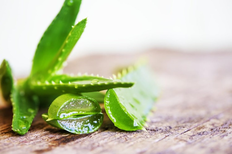 Aloe Vera Jeli Direk Yüze Sürülür Mü?