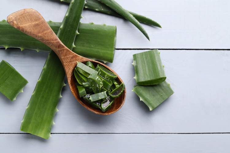 Aloe Vera Jeli Dişe Sürülür Mü?