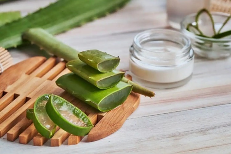 Aloe Vera Jeli Dondurulur Mu?