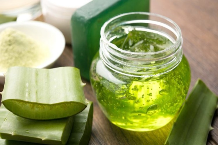 Aloe Vera Jeli Eczanede Satılır Mı?