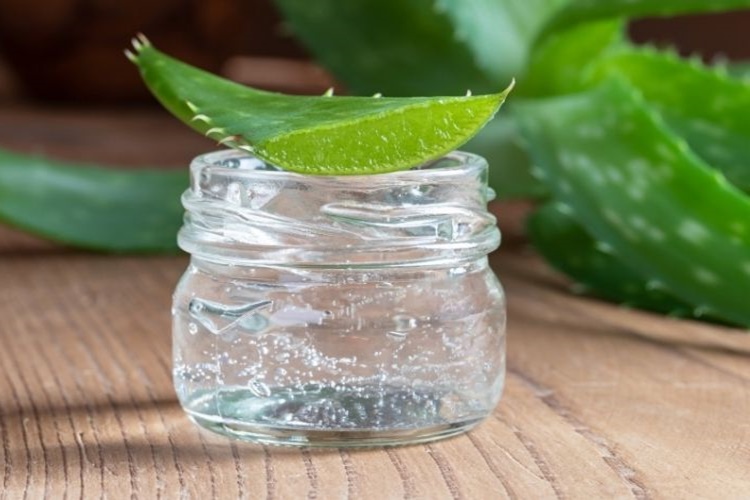 Aloe Vera Jeli Hangi Kan Grubuna Zararlı?