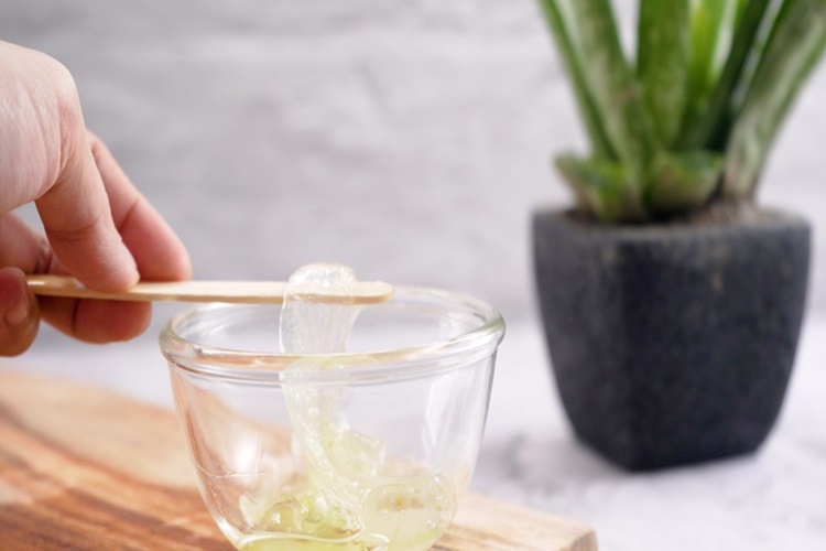 Aloe Vera Jeli Kaç Günde Bozulur?