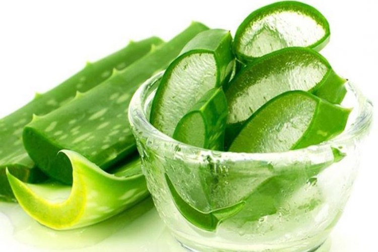 Aloe Vera Jeli Nasıl Kullanılır?