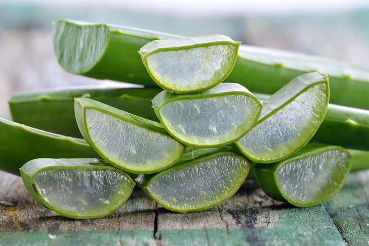 Aloe Vera Jeli Neden Kırmızı Olur?