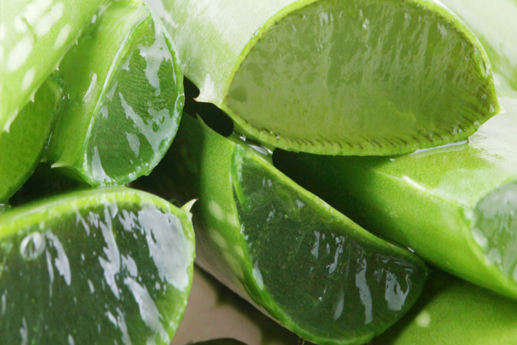 Aloe Vera Jeli Saç Rengini Açar Mı?