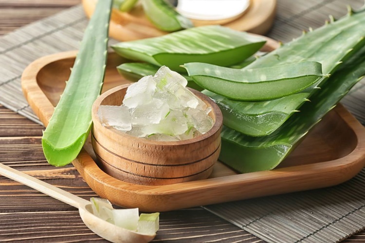 Aloe Vera Kaç Günde Bozulur?